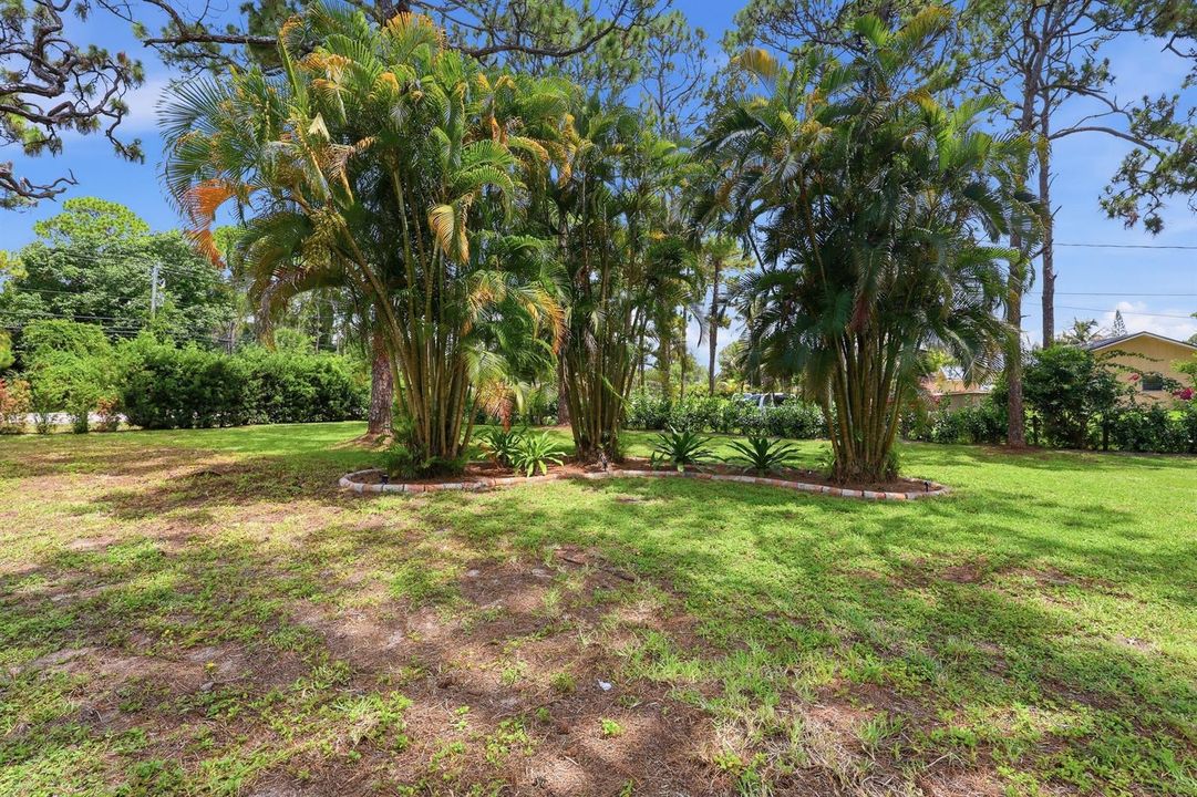 FRONT YARD