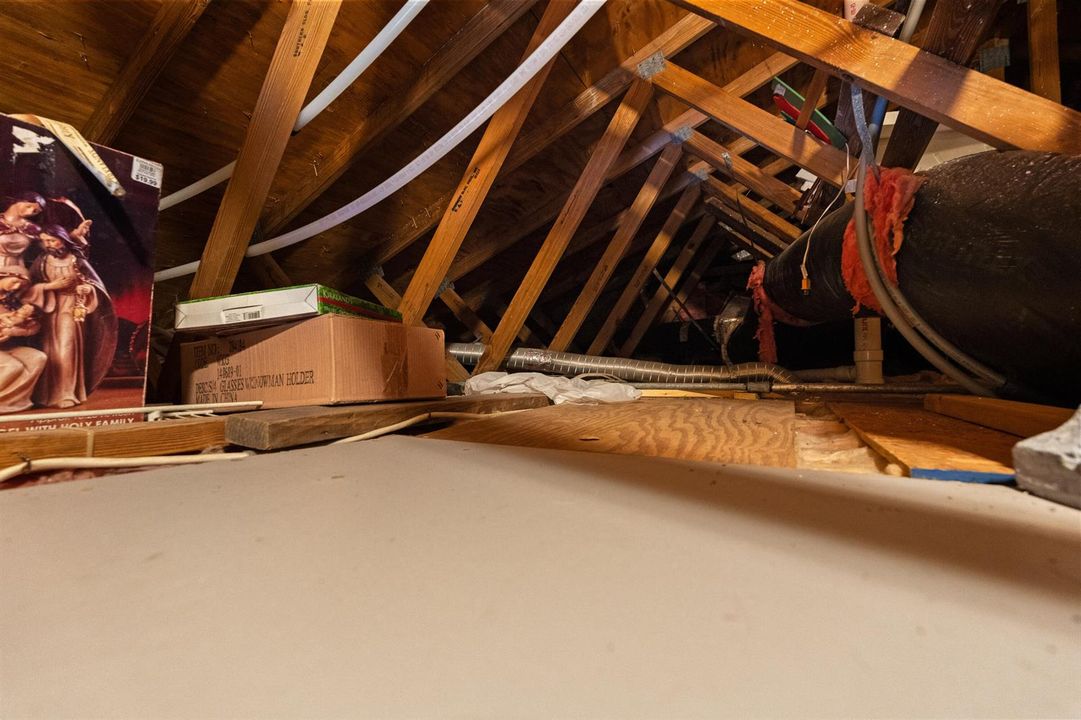 Garage Attic