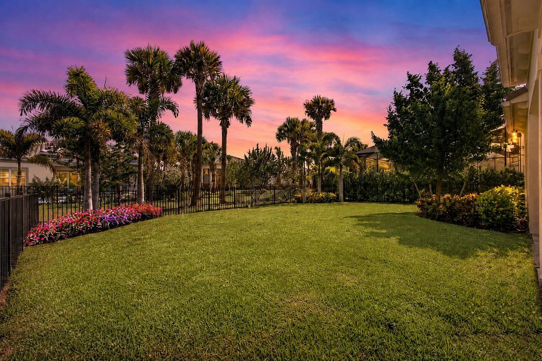 Back Yard Sunset