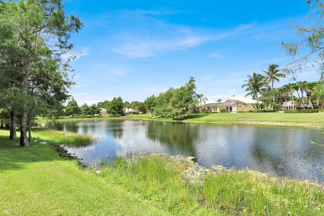 38_Image_38_mls