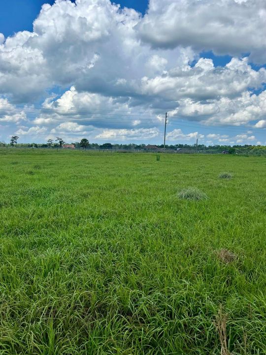 Pasture