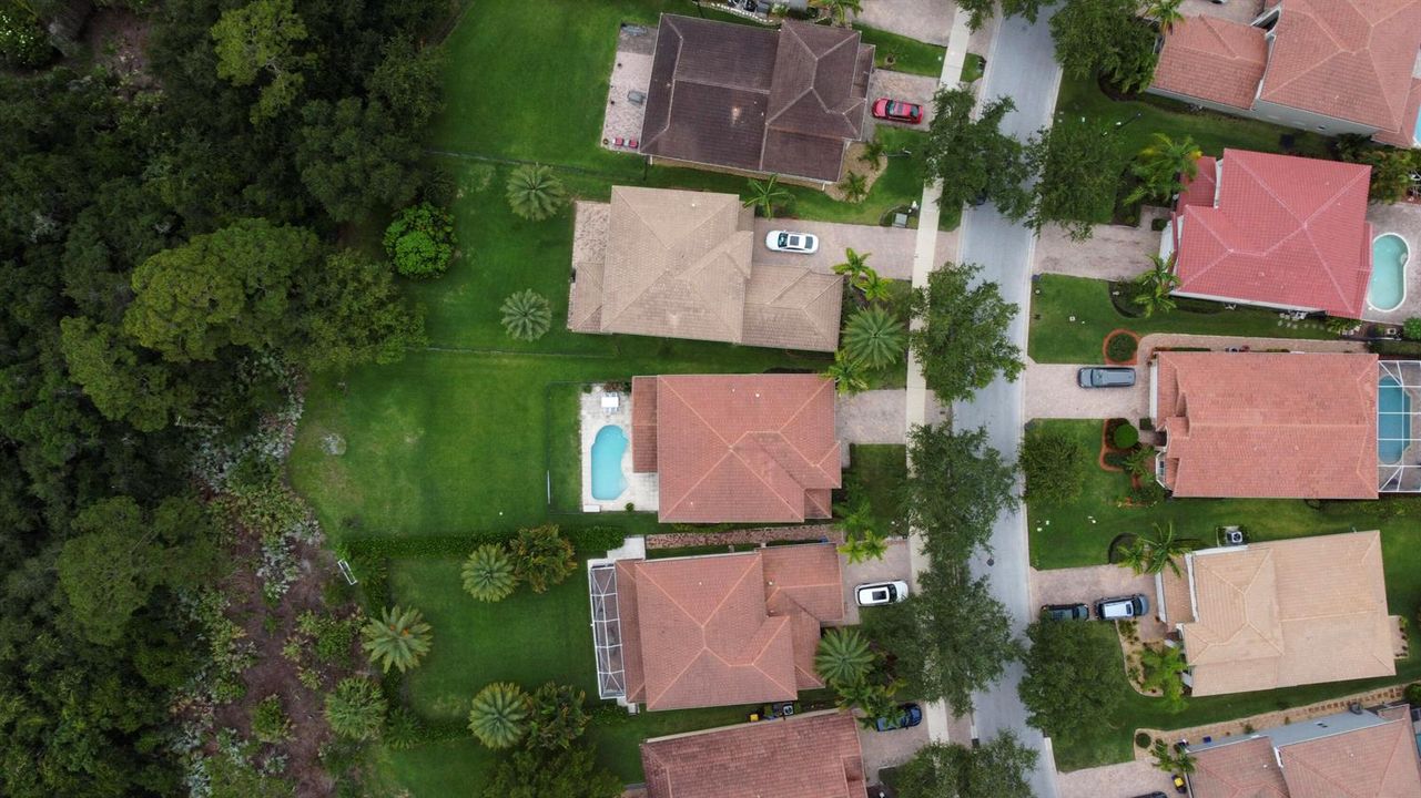 53-DJI_0701