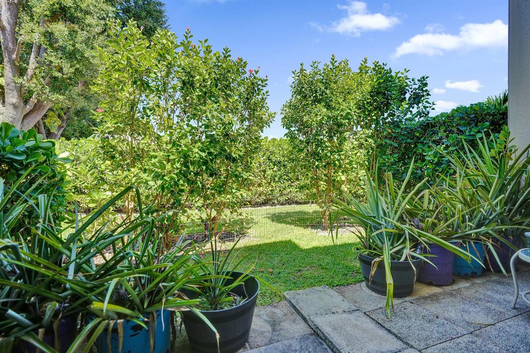BACKYARD VIEW