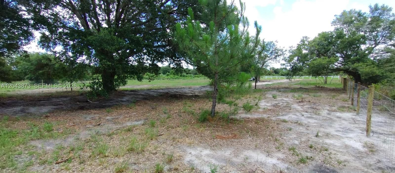 For Sale: $53,000 (1.25 acres)
