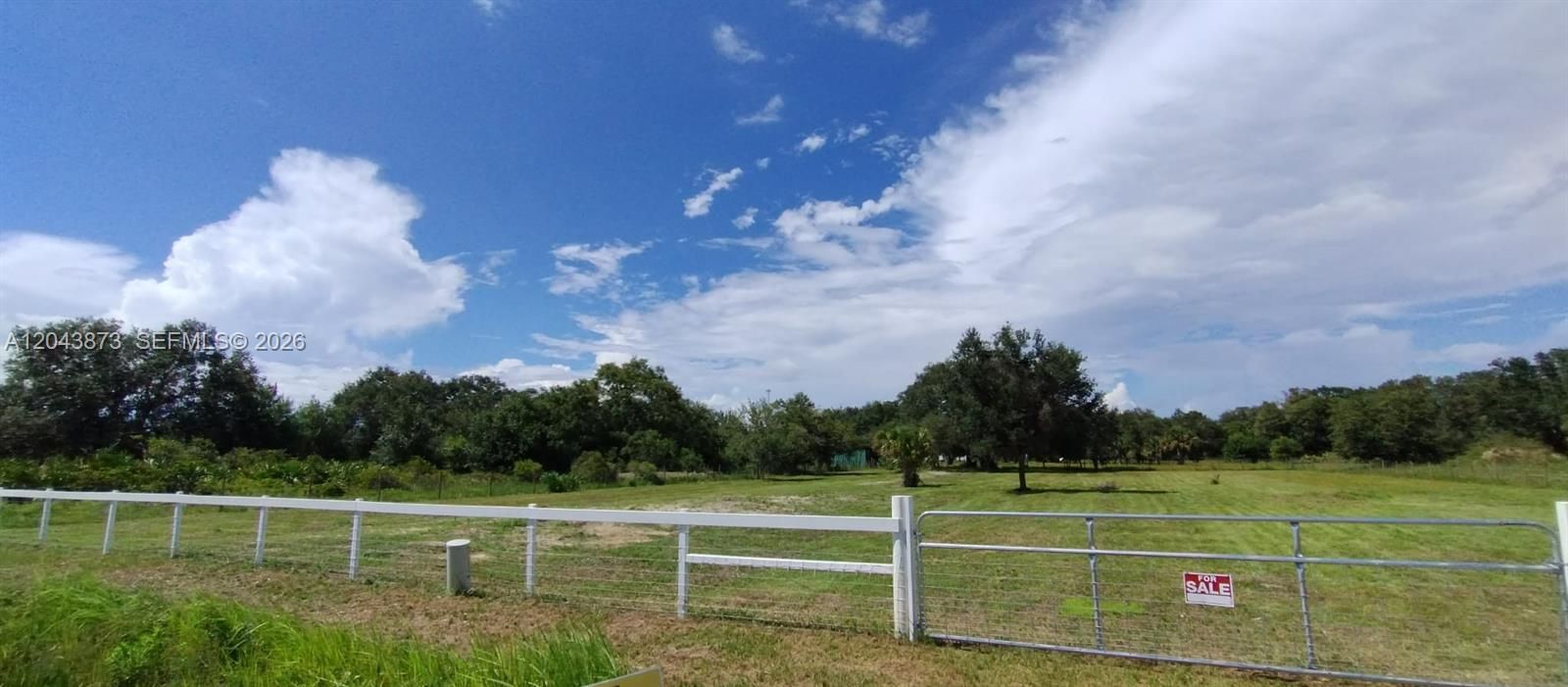 For Sale: $53,000 (1.25 acres)