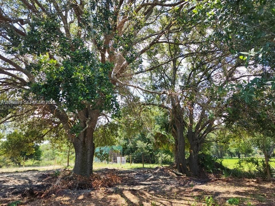 For Sale: $53,000 (1.25 acres)