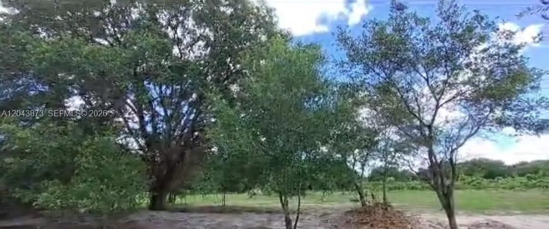 For Sale: $53,000 (1.25 acres)