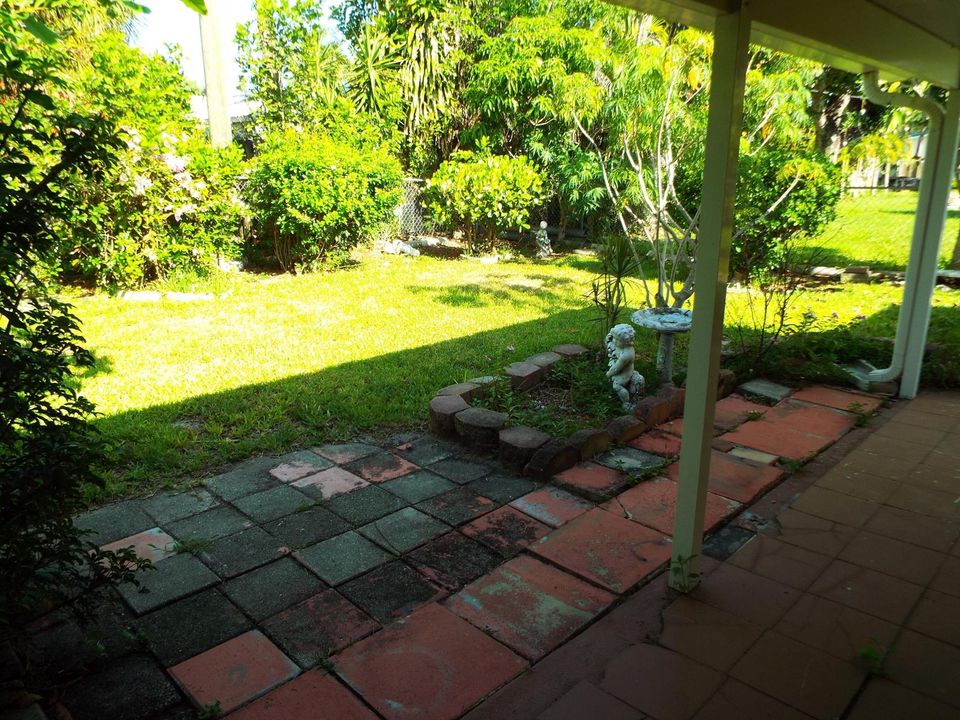 Back yard