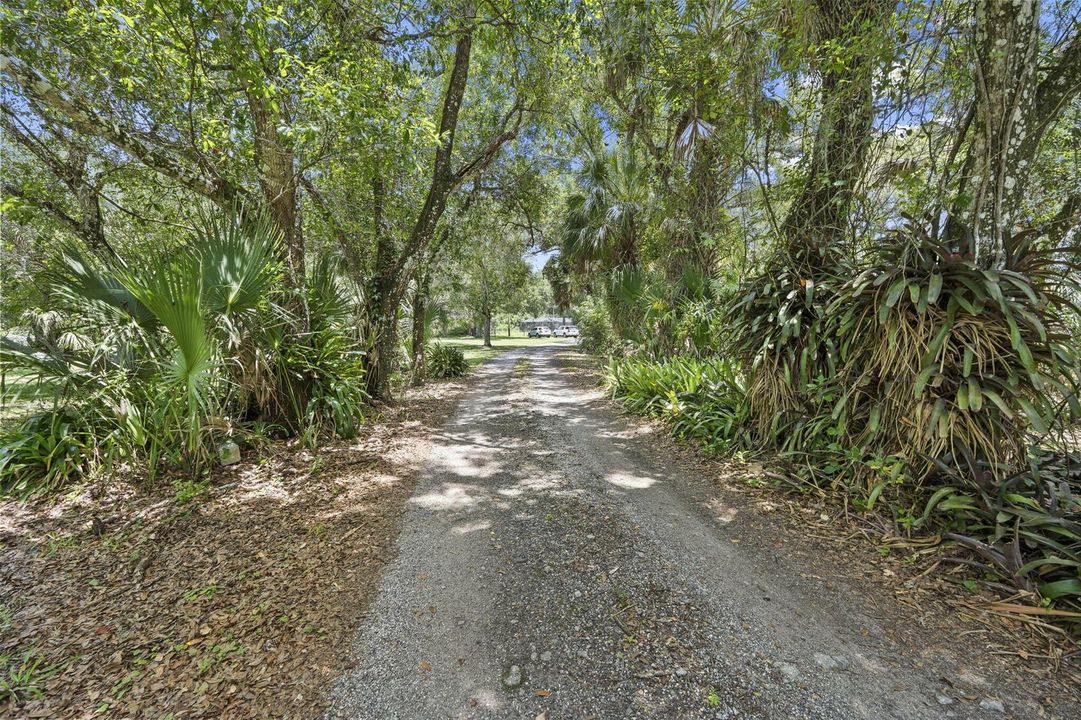 58-web-or-mls-DSC07407