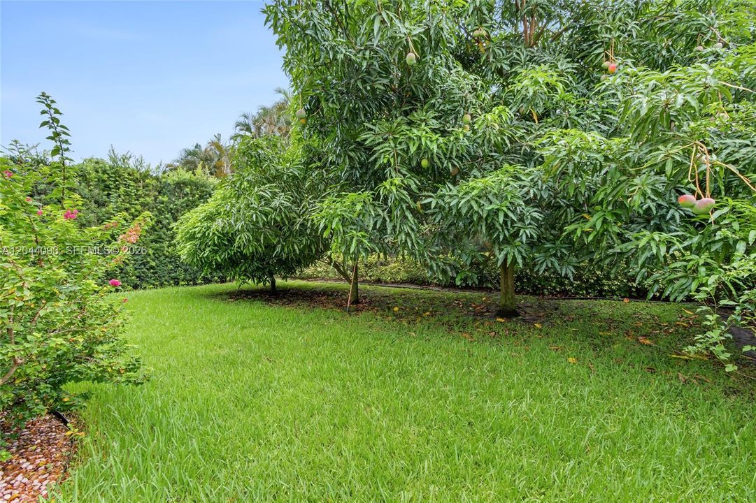 На продажу: $675,000 (4 спален, 2 ванн, 2630 Квадратных фут)