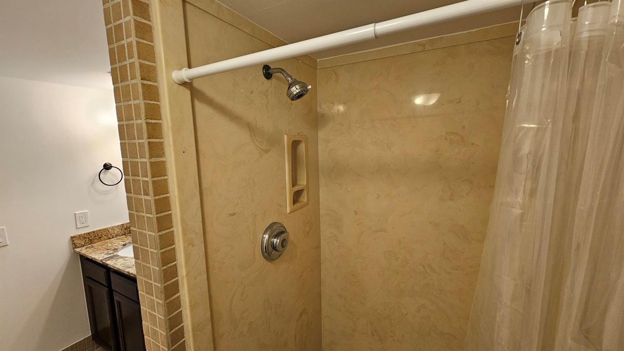 Guest Bath Shower 2
