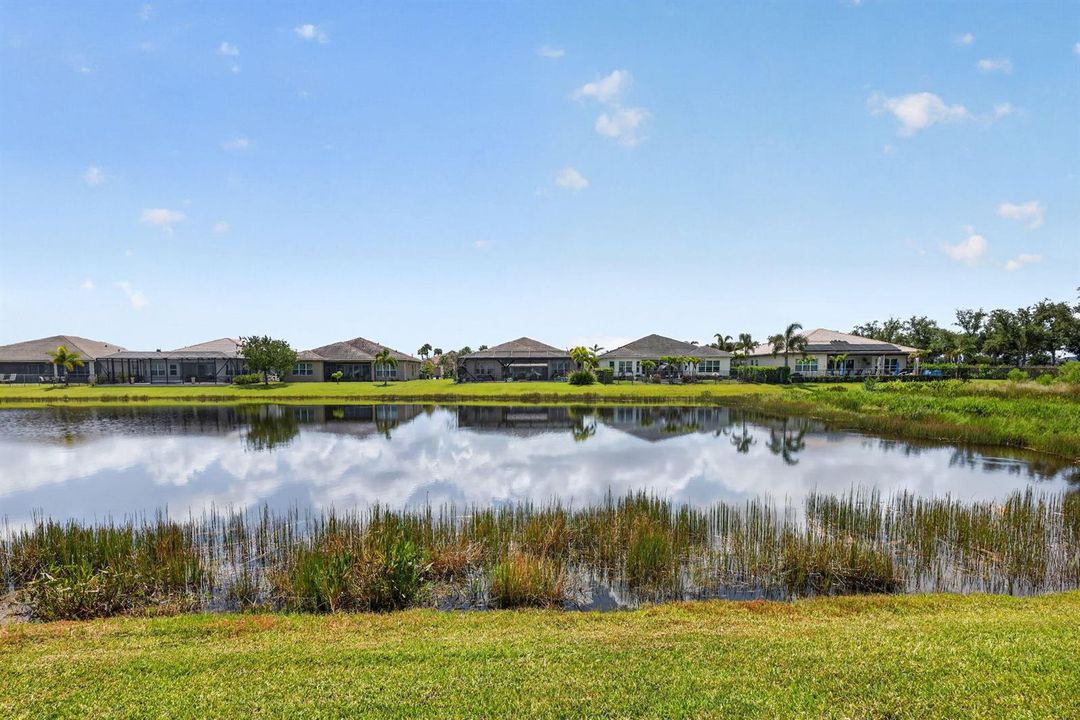 55-web-or-mls-5P1A1797