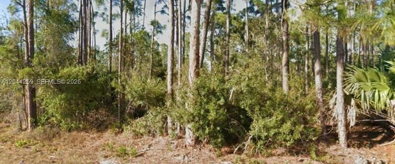 待售: $18,900 (0.18 acres)