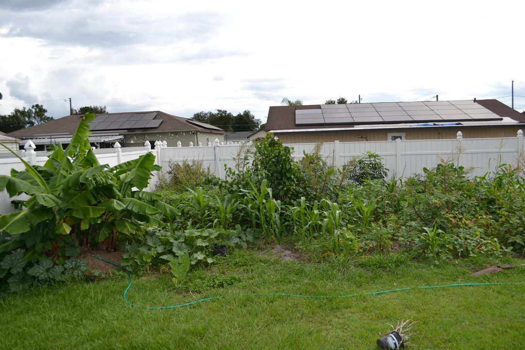 Picture 13- garden 2