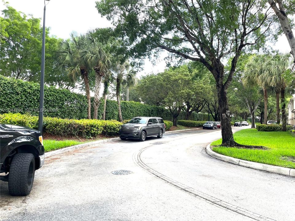 street guess parking