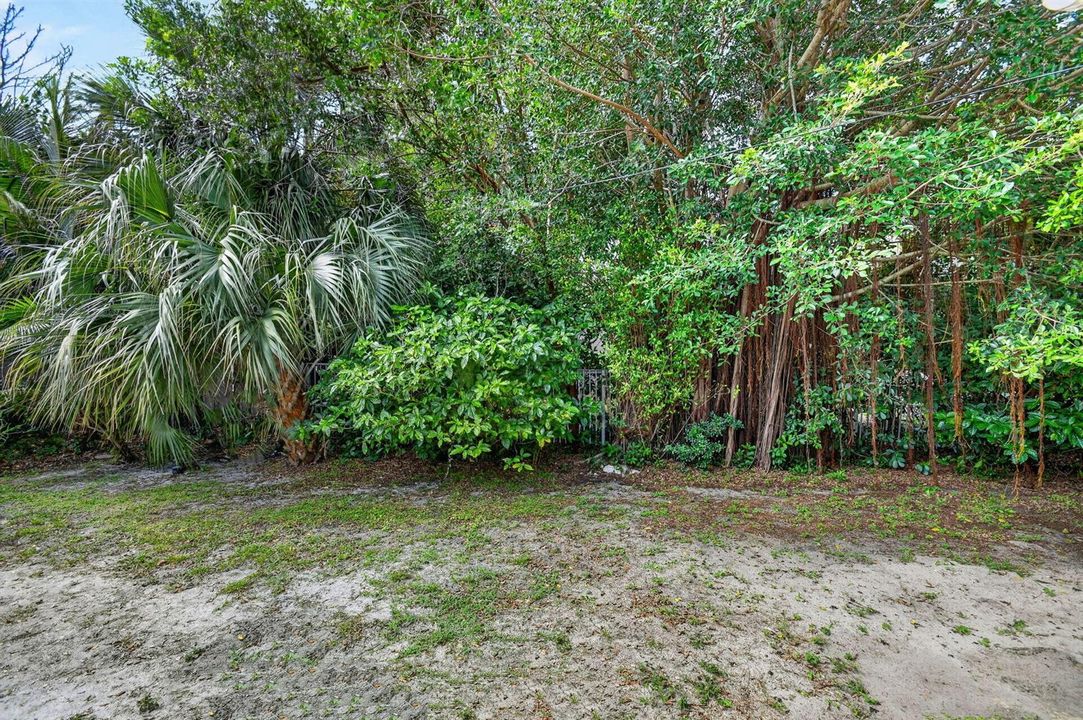 48-web-or-mls-DSC_7719