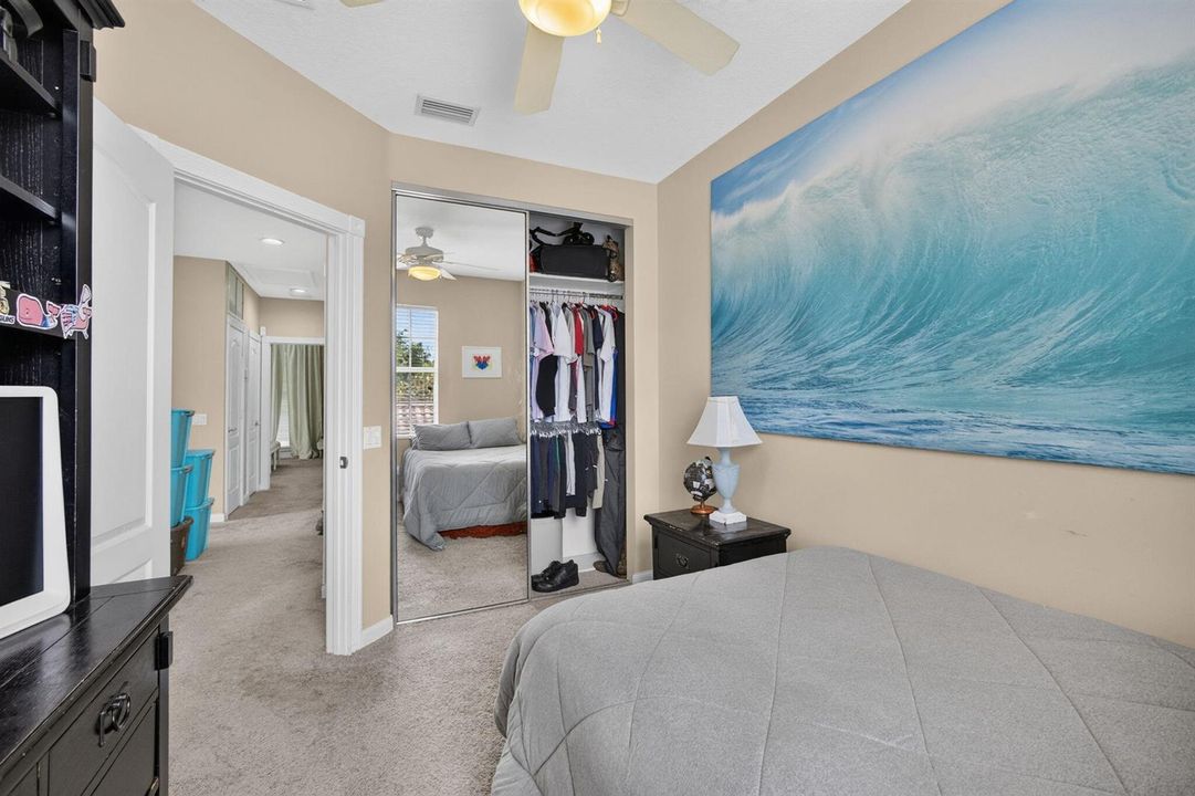32-web-or-mls-5D1A1138