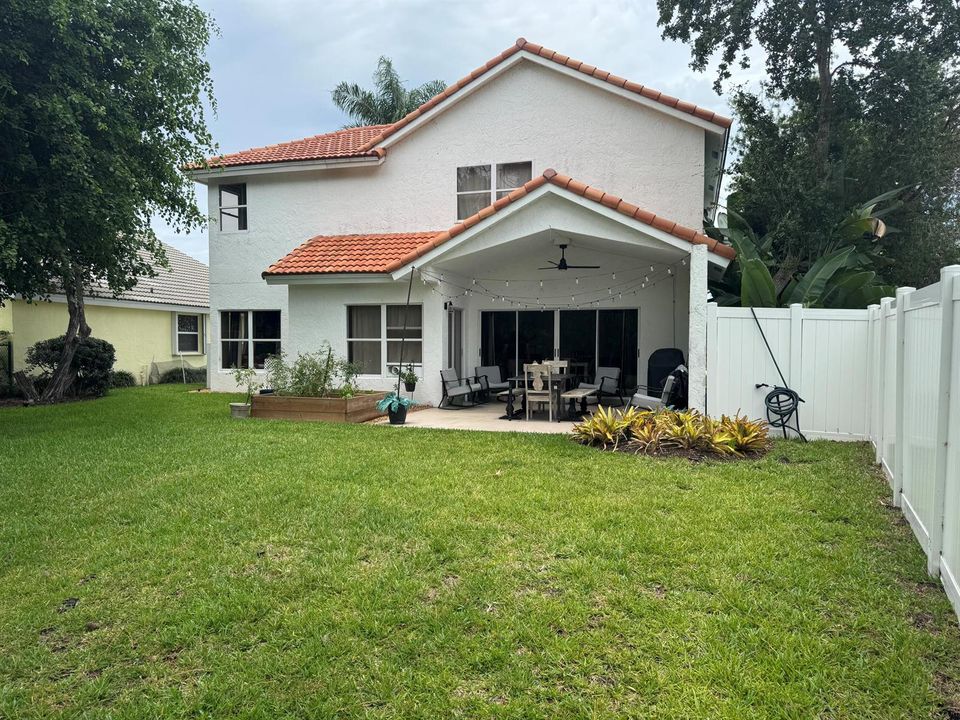 Backyard area