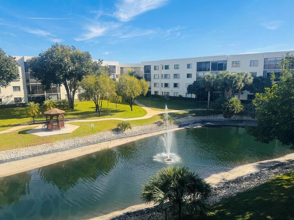 View from Balcony