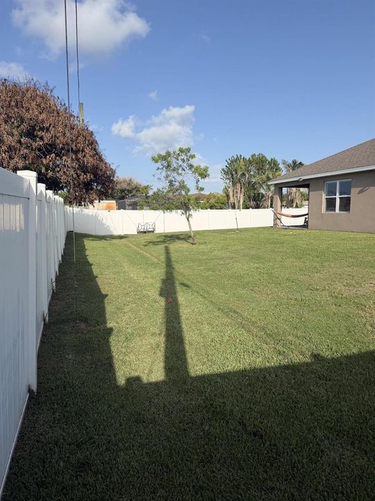 Z 29