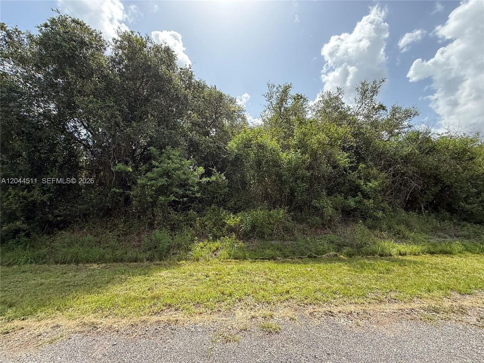 For Sale: $44,900 (1.25 acres)