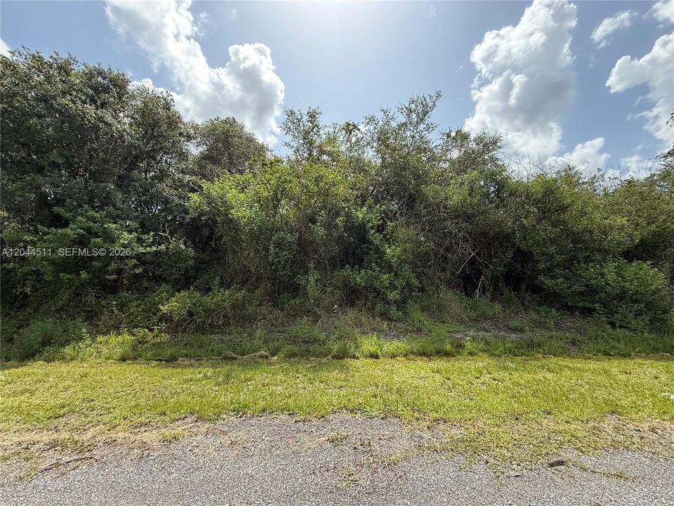 For Sale: $44,900 (1.25 acres)