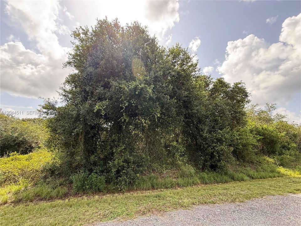 For Sale: $44,900 (1.25 acres)