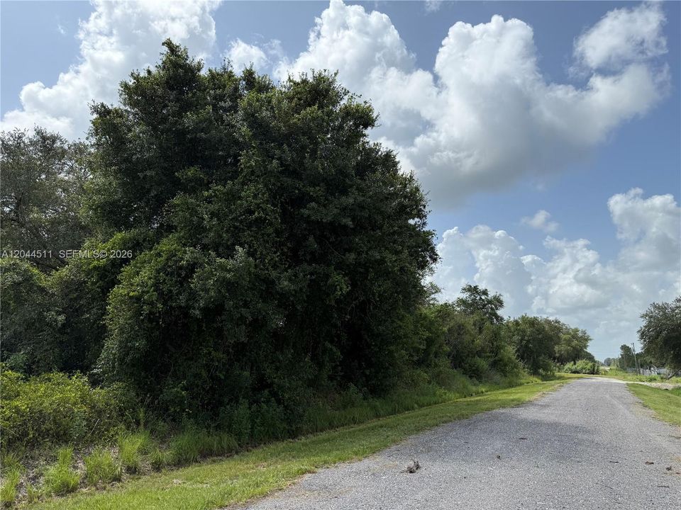 For Sale: $44,900 (1.25 acres)