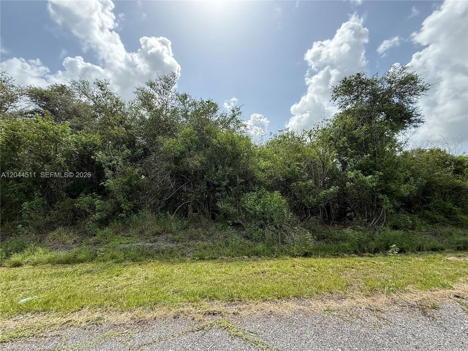 For Sale: $44,900 (1.25 acres)