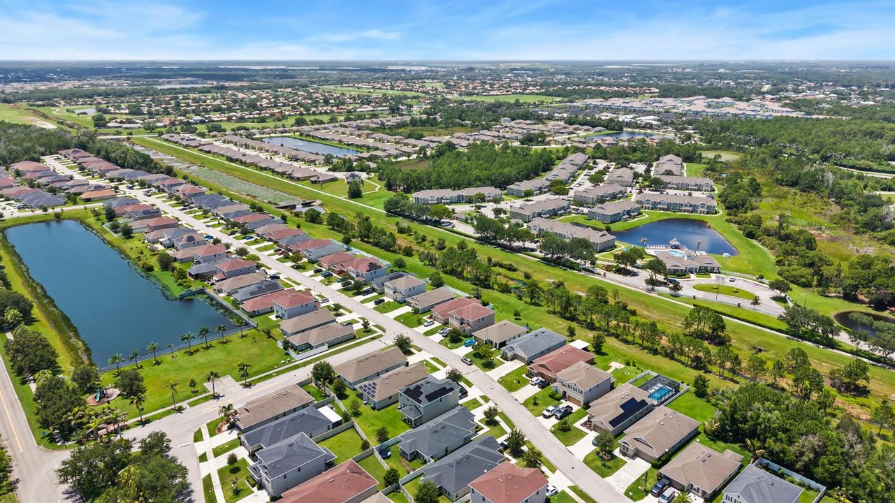 Aerial 6