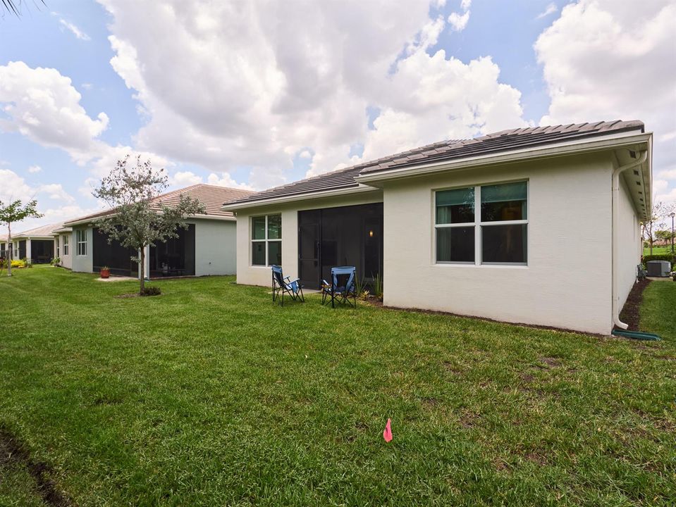 P1176494