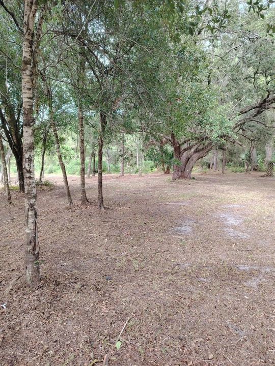 En Venta: $75,000 (1.09 acres)