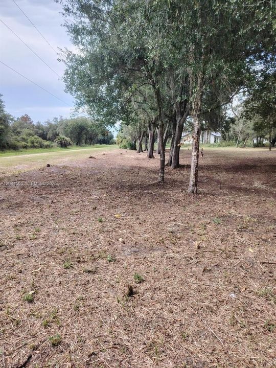 En Venta: $75,000 (1.09 acres)