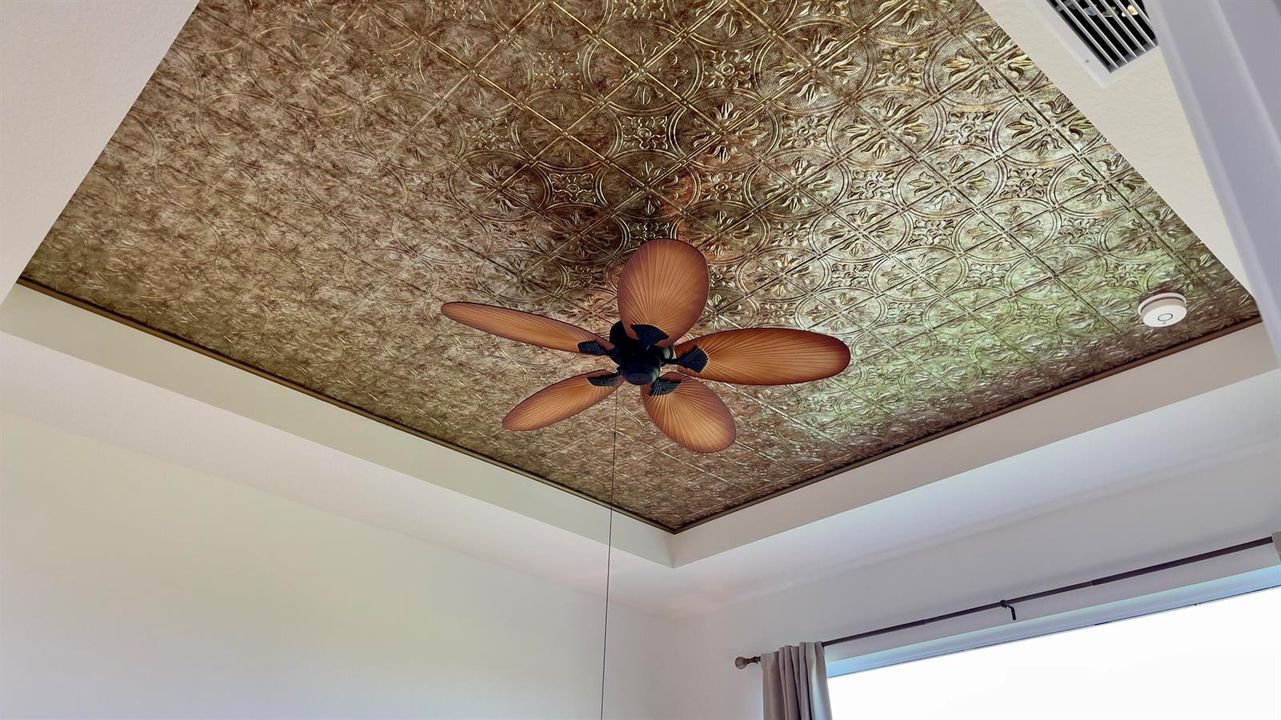 Decorative Ceiling