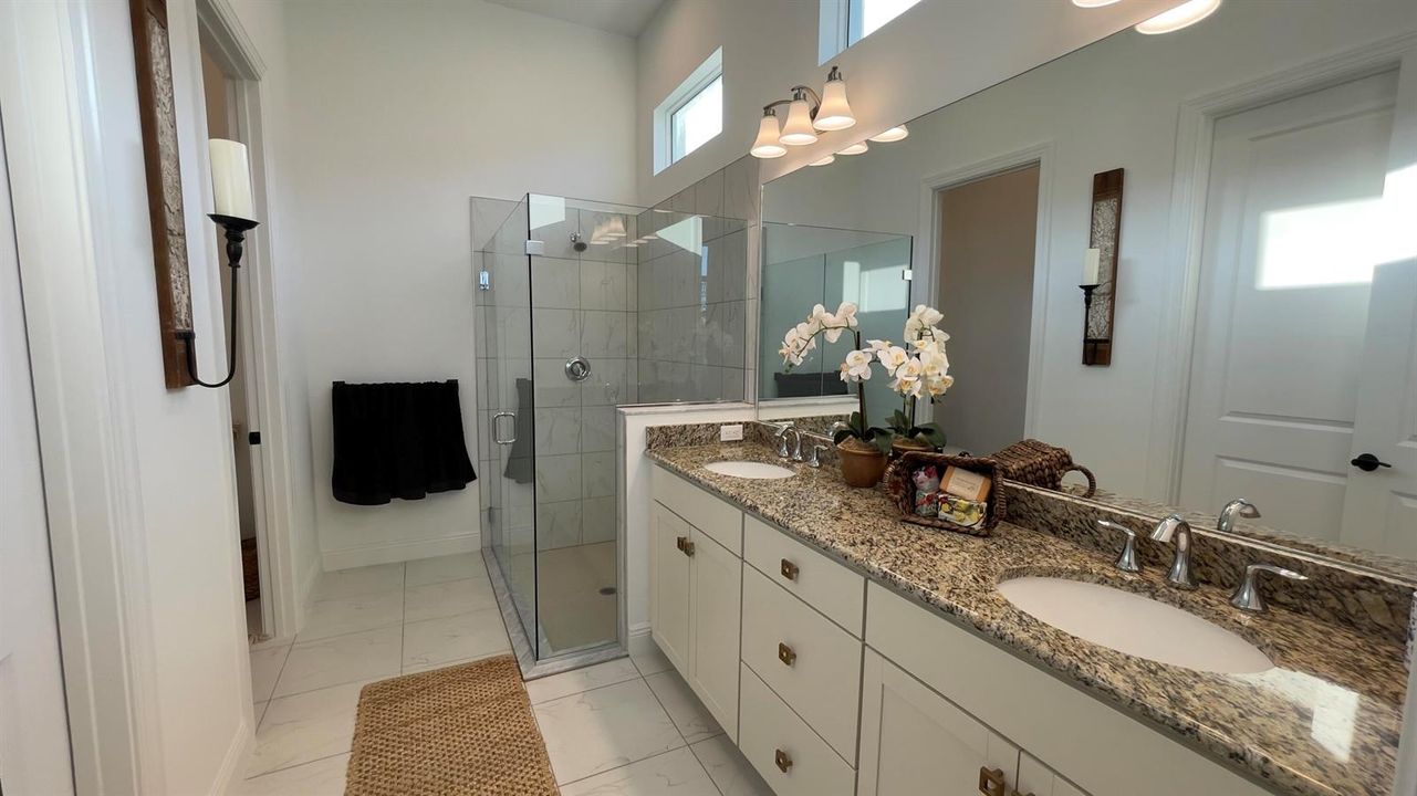 Primary Suite Bathroom