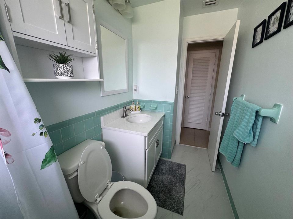 Guest Bath 2