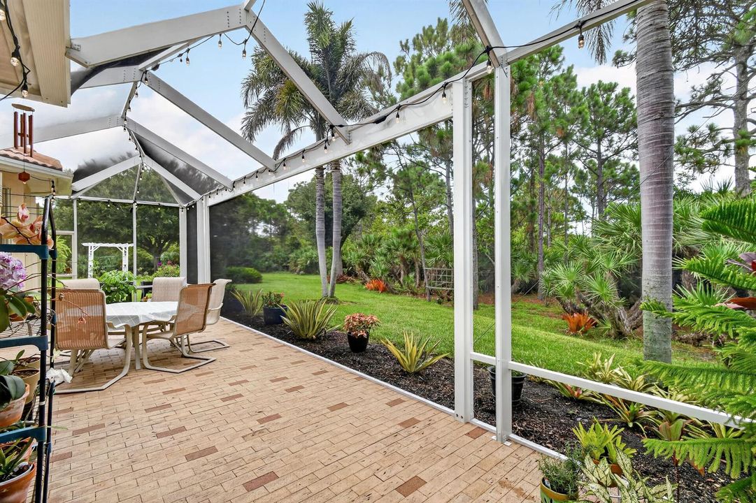 Picture Window Screen