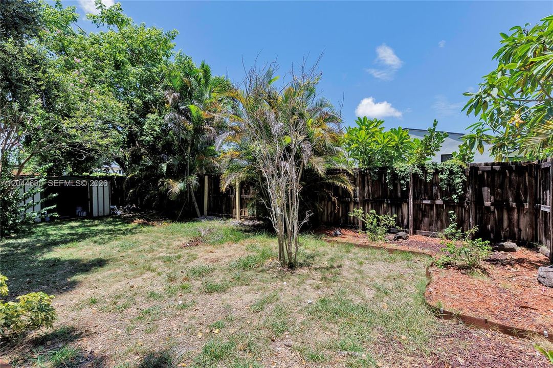 Backyard, showing shed