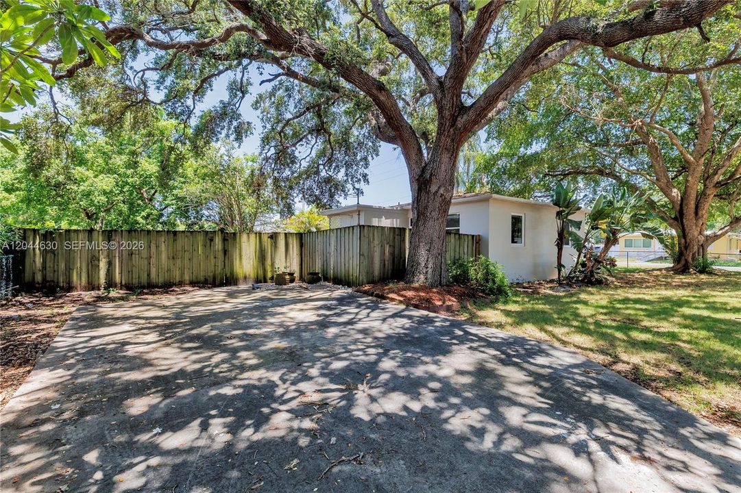 Driveway