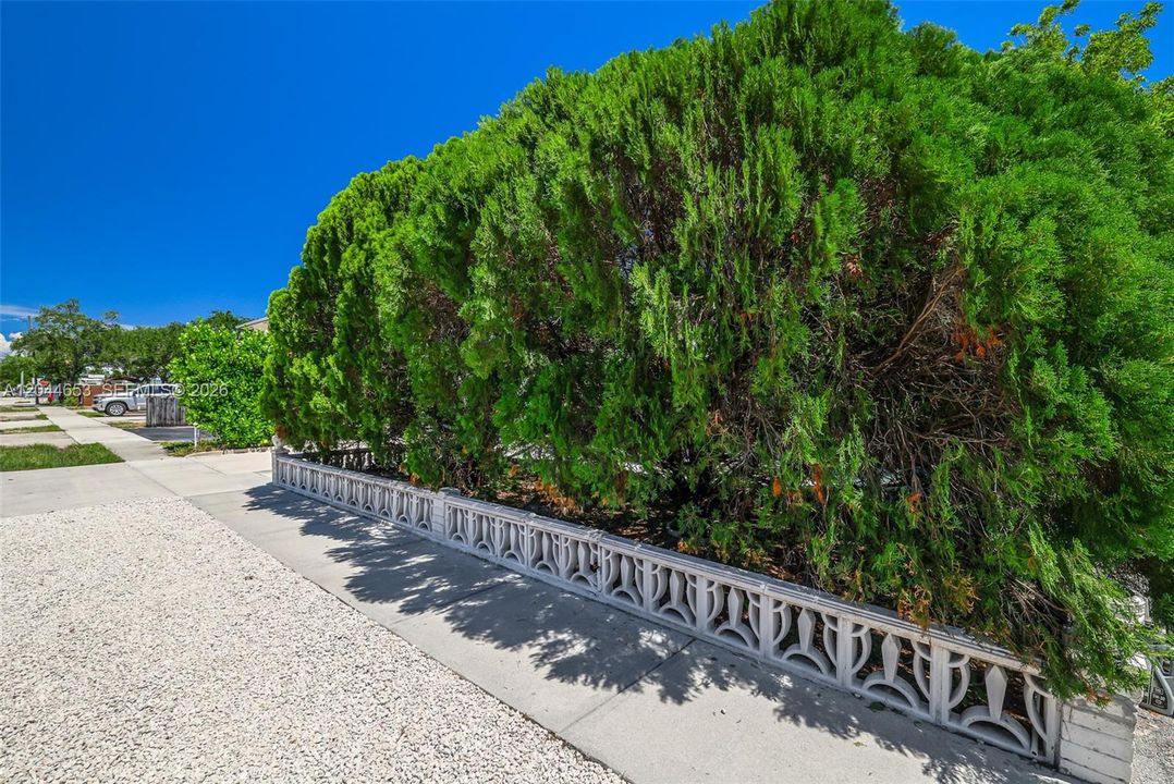 На продажу: $525,000 (4 спален, 2 ванн, 1962 Квадратных фут)