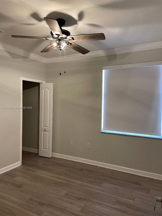 Down Stairs bedroom