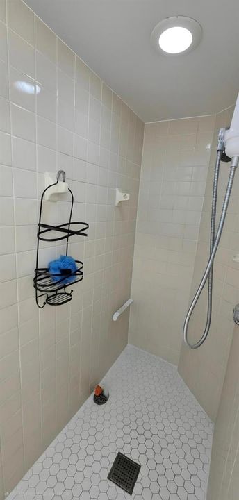Master bathroom shower