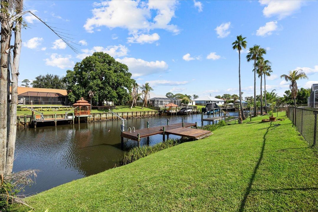 Grass and Dock