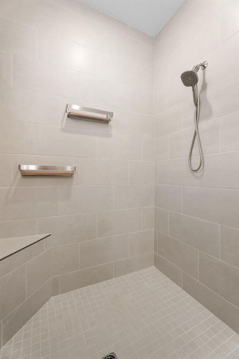 Primary Shower