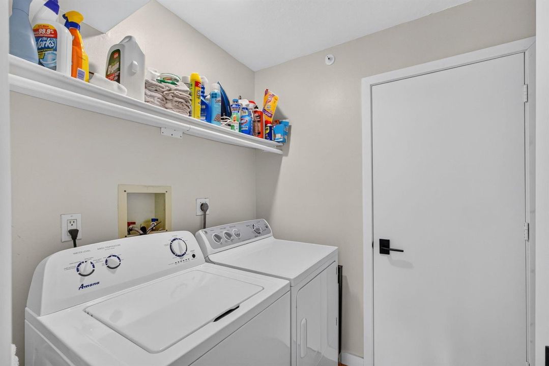 41-web-or-mls-5D1A1649