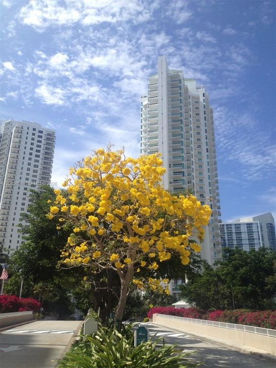 For Rent: $4,500 (2 beds, 2 baths, 960 Square Feet)