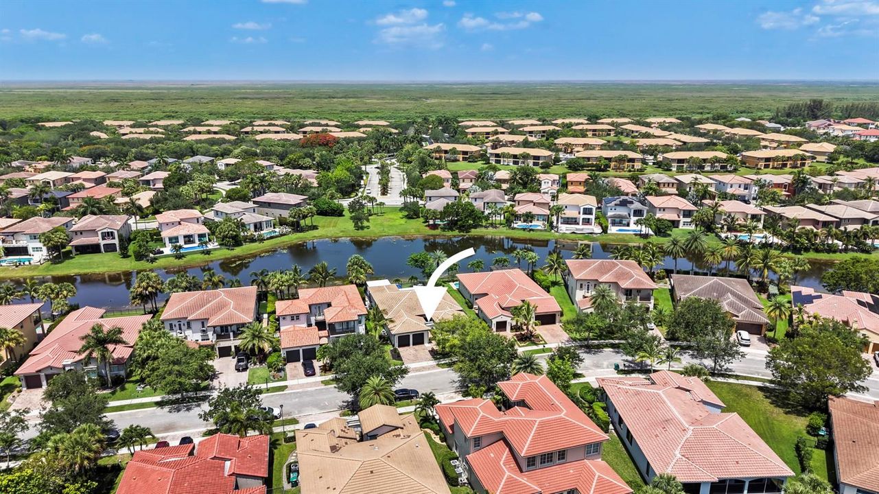 aerial