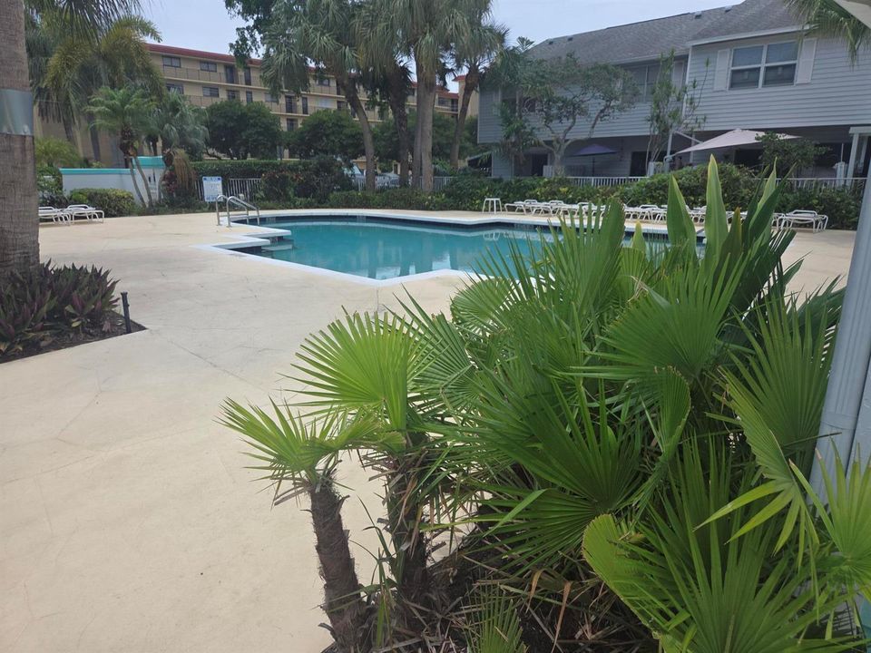 SH pool