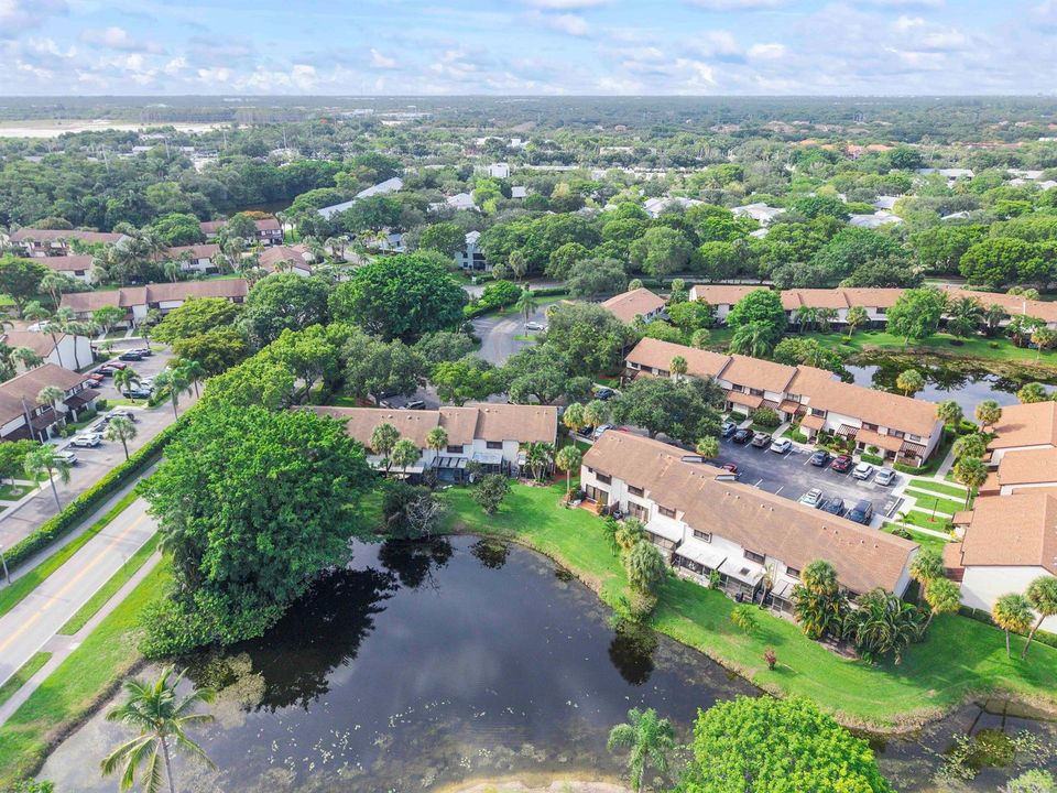 4393 Carambola Cir N_036