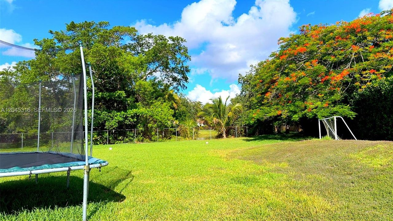 Backyard